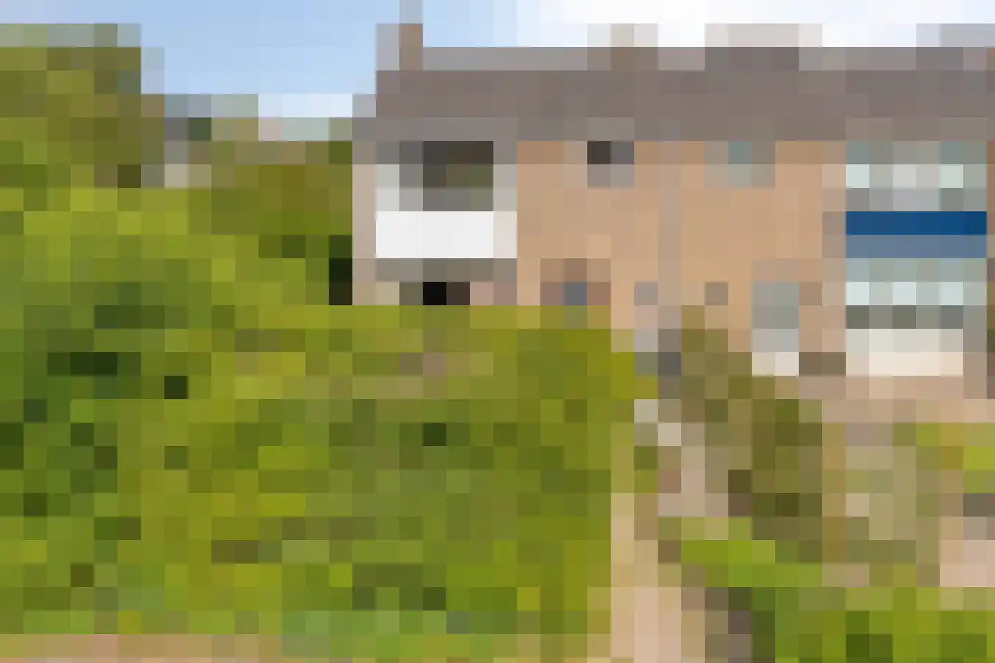 Ereprijsweg 1 Bergen (NH) thumbnail 4