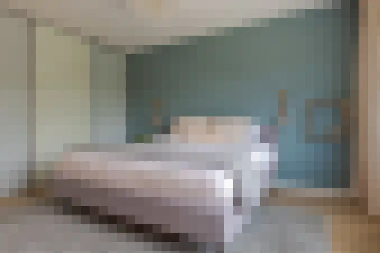 Ereprijsweg 2 Zwolle thumbnail 39
