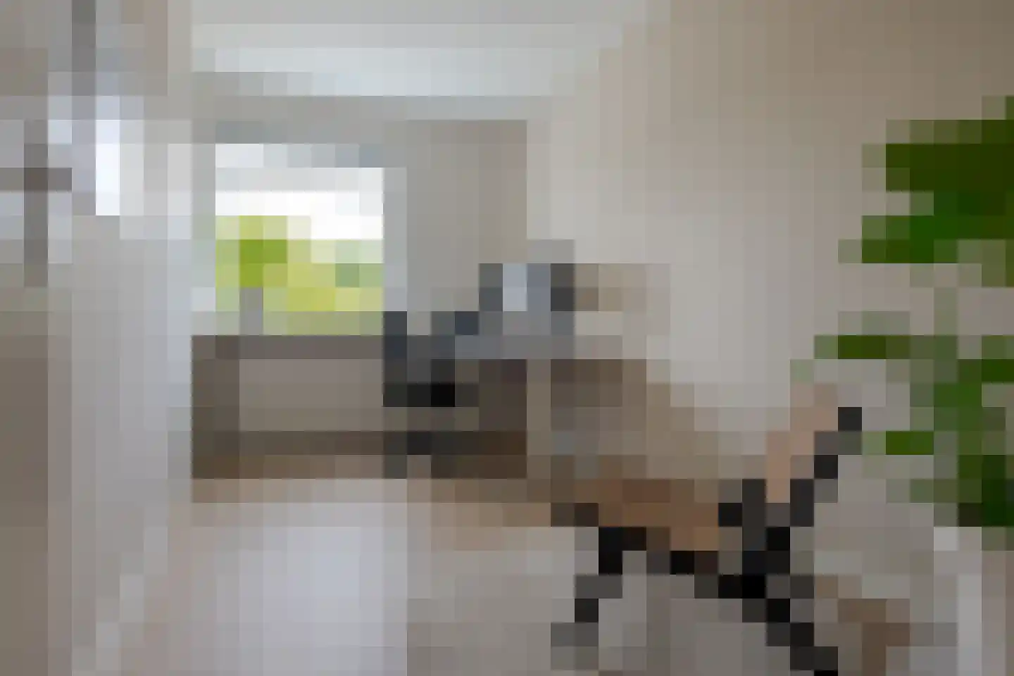 Ereprijsweg 2 Zwolle thumbnail 41