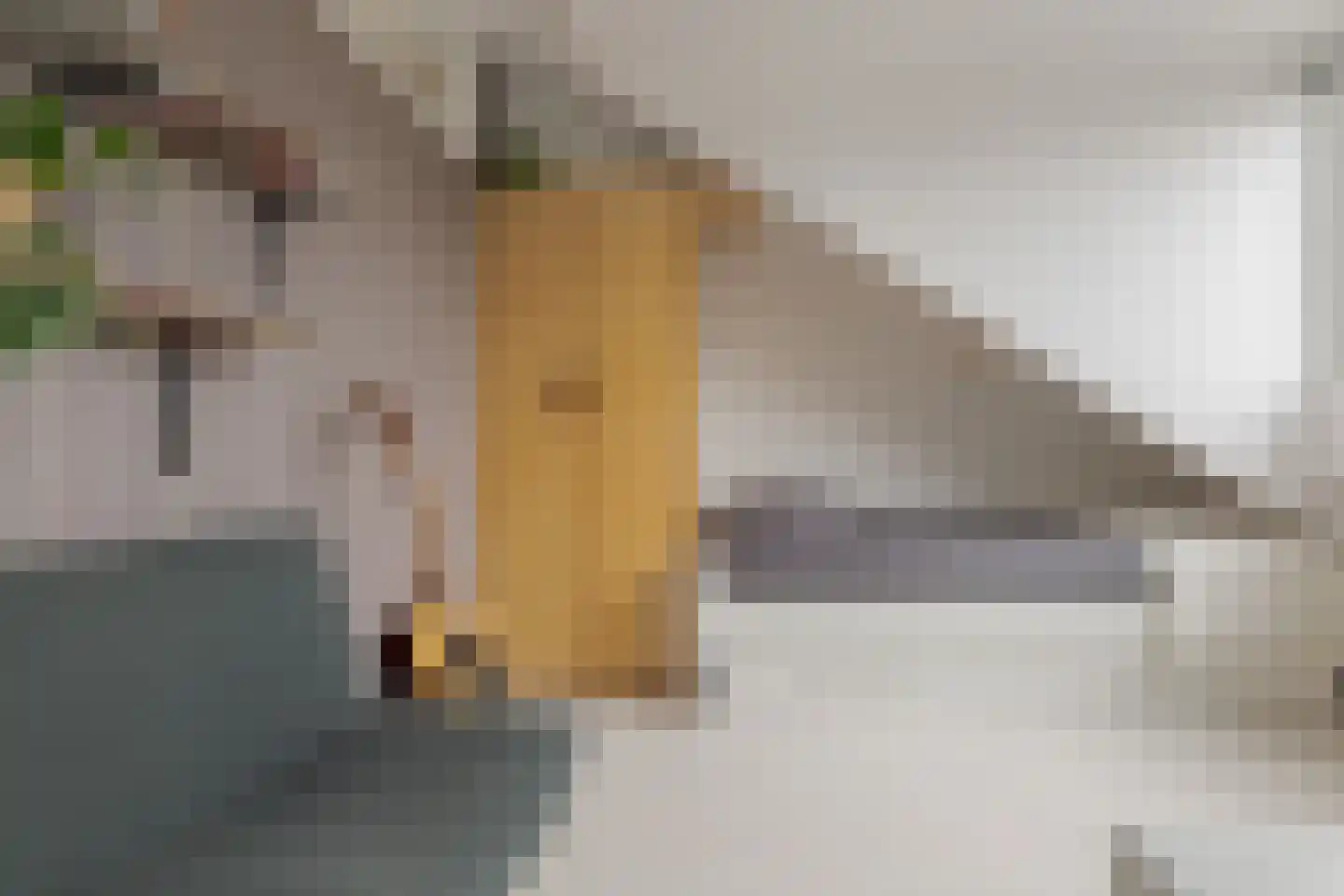Ereprijsweg 2 Zwolle thumbnail 56
