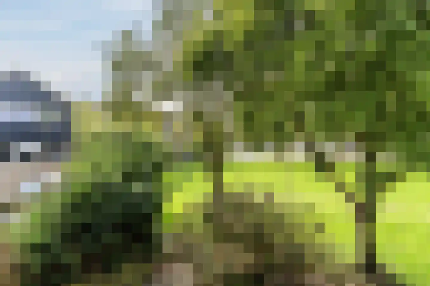 Ereprijsweg 29 Zaandam thumbnail 33