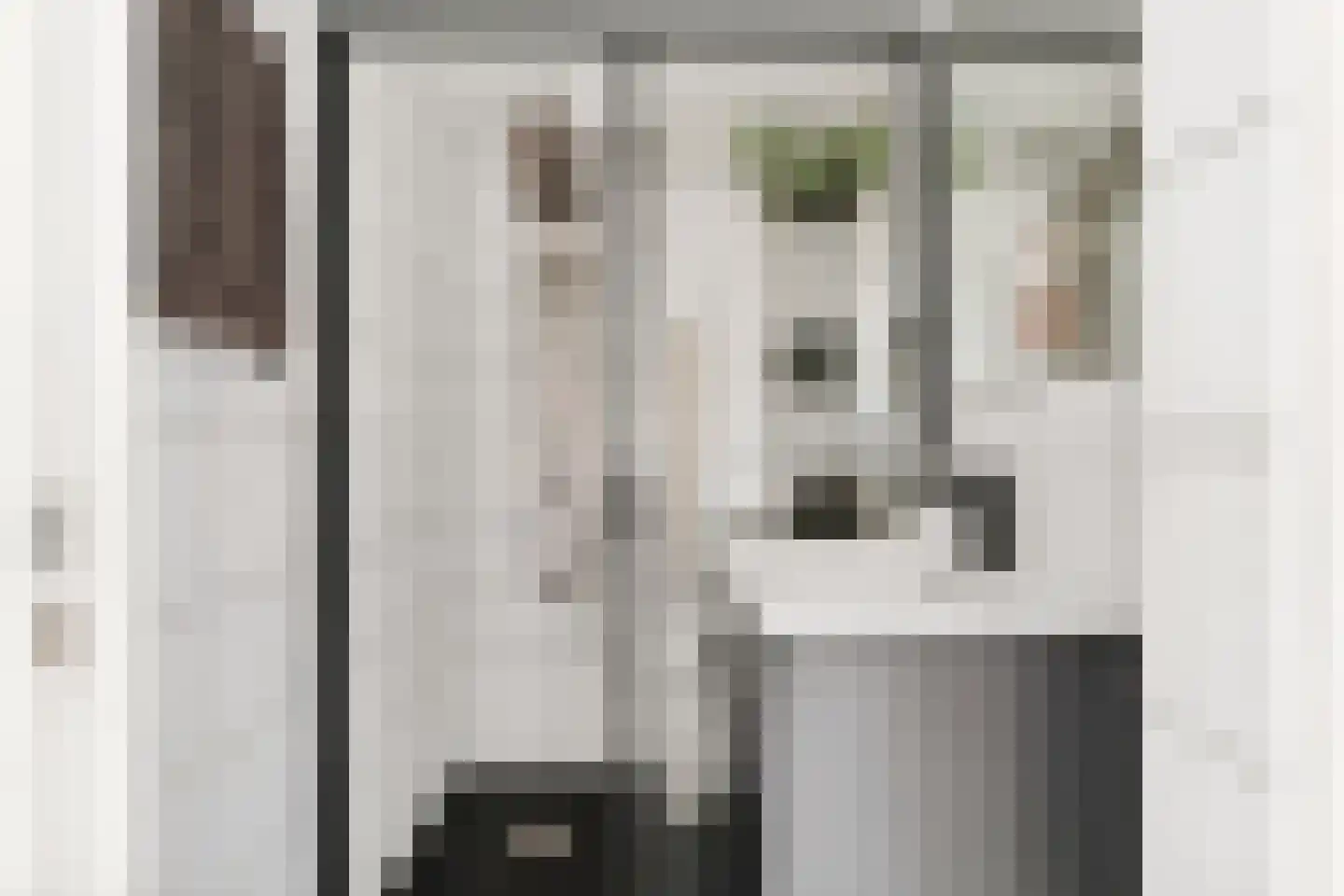 Ereprijsweg 29 Zaandam thumbnail 6