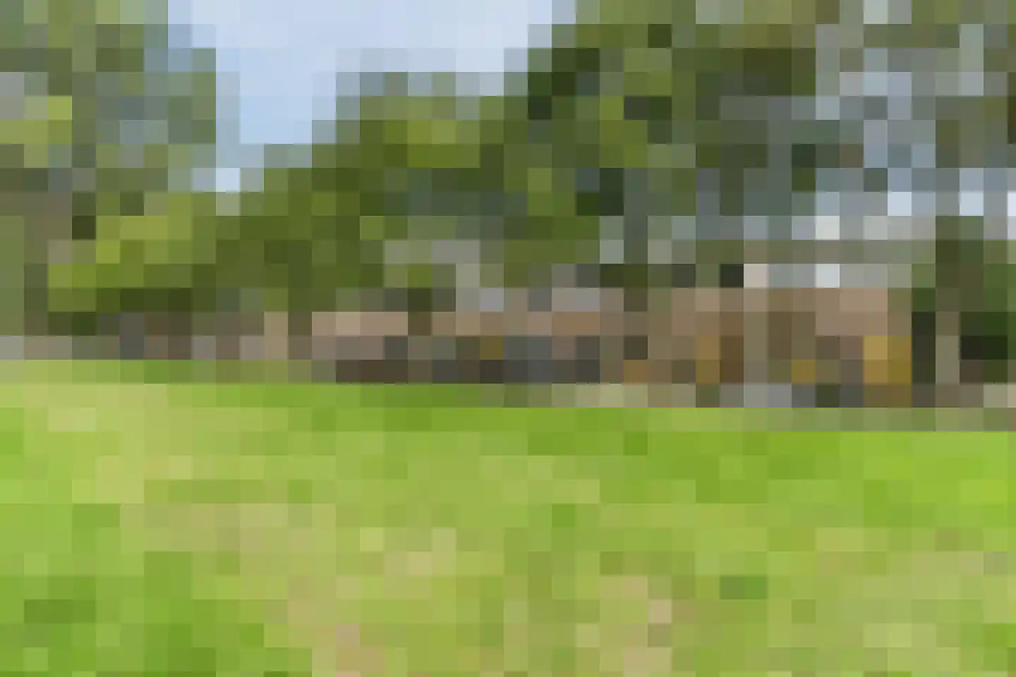 Ereprijsweg 29 Zaandam thumbnail 8