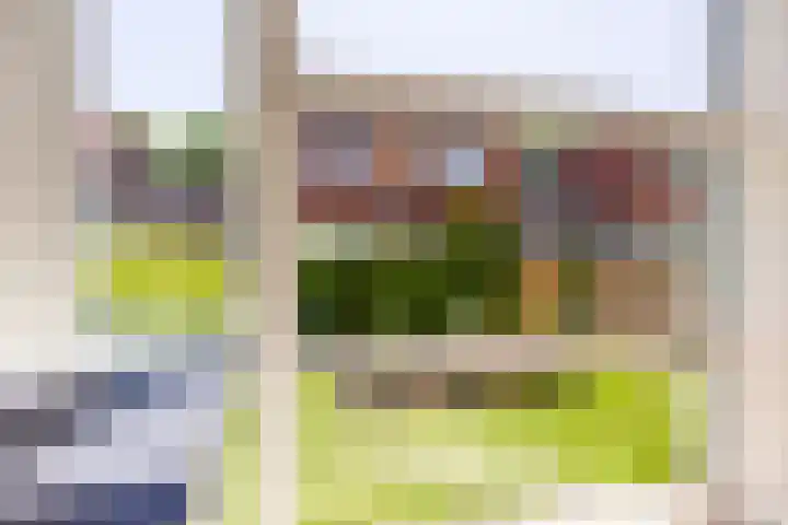 Erewacht 21 Apeldoorn thumbnail 12