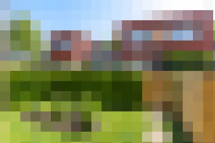 Erewacht 21 Apeldoorn thumbnail 13