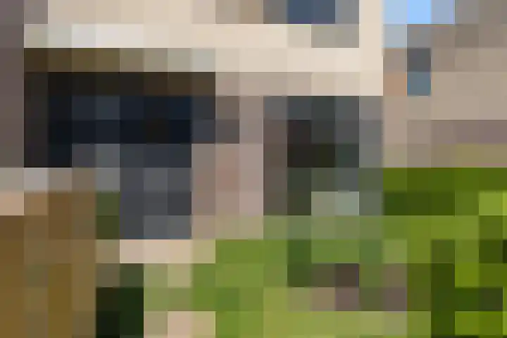Erewacht 21 Apeldoorn thumbnail 14
