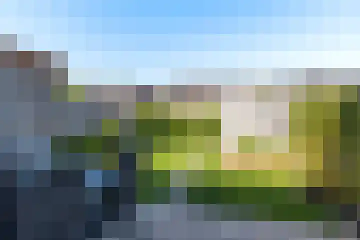 Erewacht 21 Apeldoorn thumbnail 15