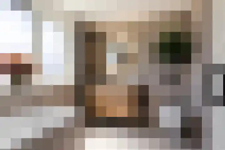 Erewacht 21 Apeldoorn thumbnail 27