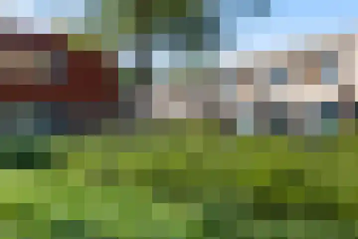 Erewacht 21 Apeldoorn thumbnail 36