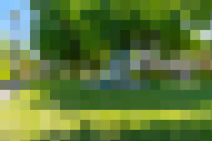 Erewacht 21 Apeldoorn thumbnail 37