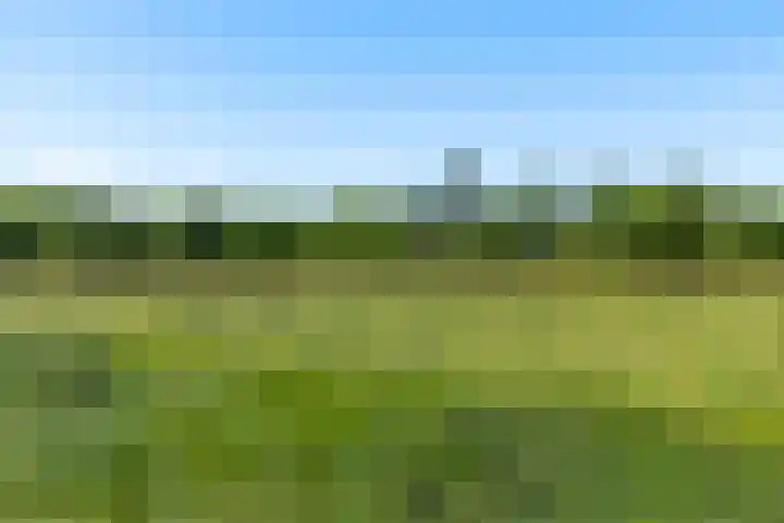 Erewacht 21 Apeldoorn thumbnail 38