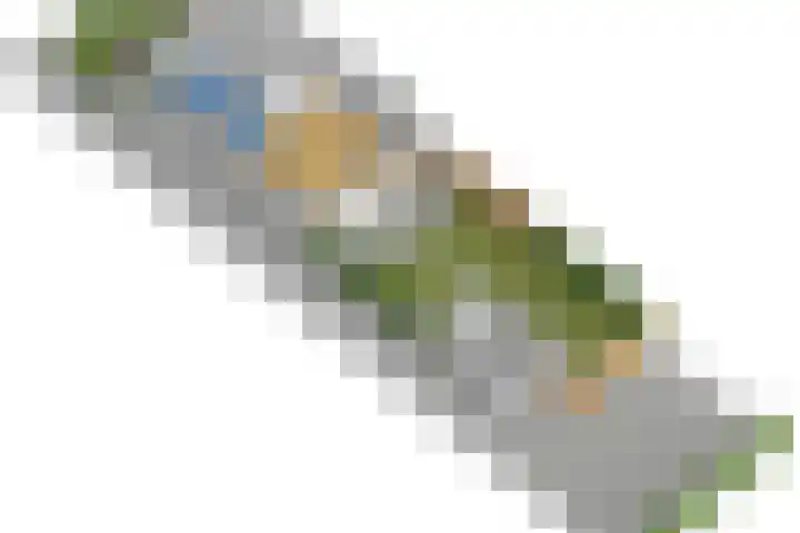 Erewacht 21 Apeldoorn thumbnail 45