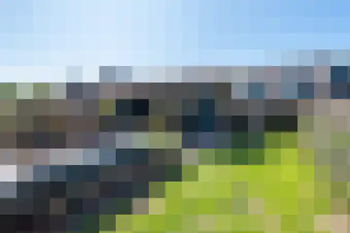 Erf 24 Stompetoren thumbnail 31