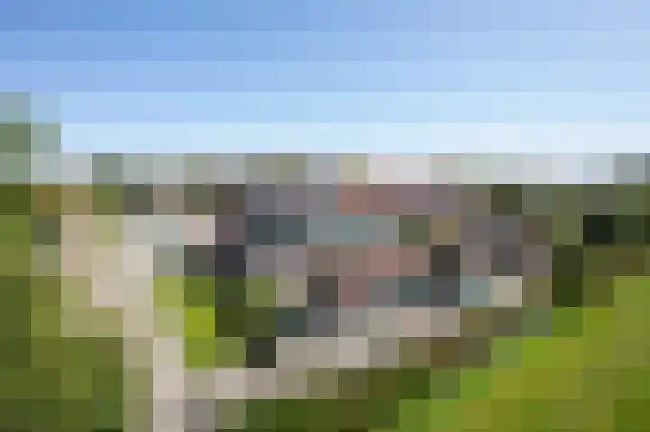 Erf 24 Stompetoren thumbnail 39
