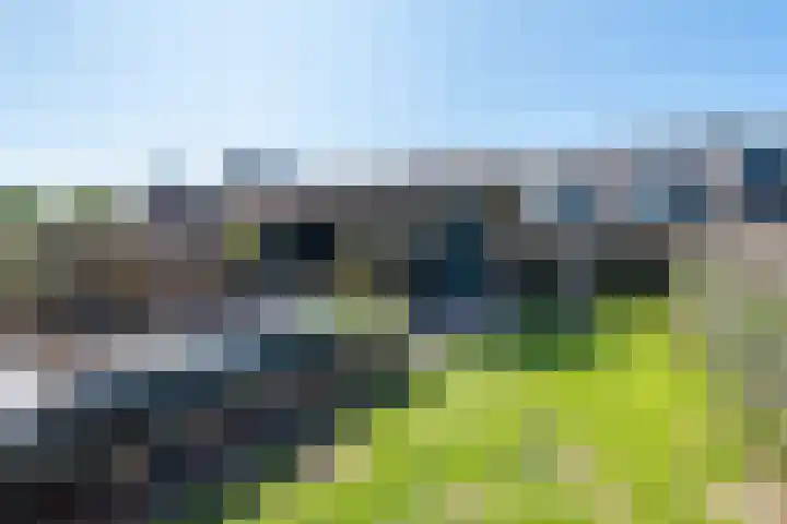 Erf 24 Stompetoren thumbnail 6