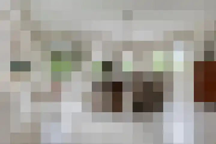 Erf van Odin 1 Heerhugowaard thumbnail 27