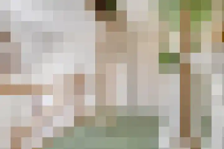 Erf van Odin 1 Heerhugowaard thumbnail 60