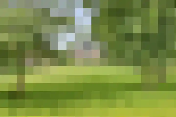 Erf van Odin 1 Heerhugowaard thumbnail 7