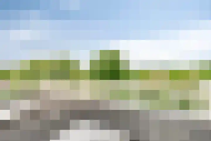 Erf van Odin 1 Heerhugowaard thumbnail 76