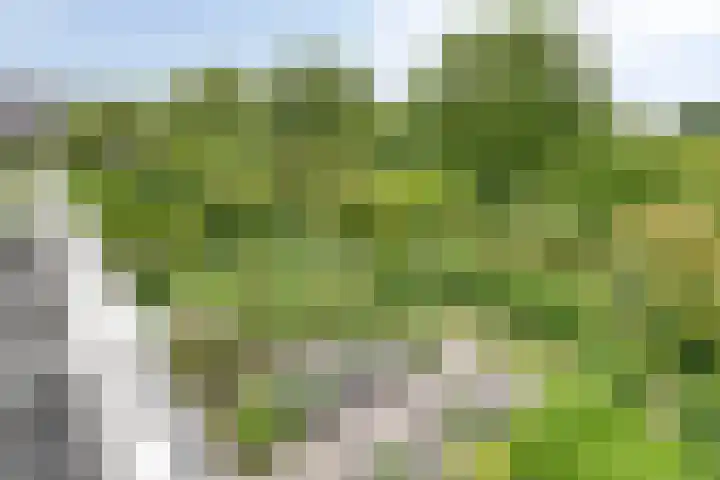 Erf van Odin 1 Heerhugowaard thumbnail 77