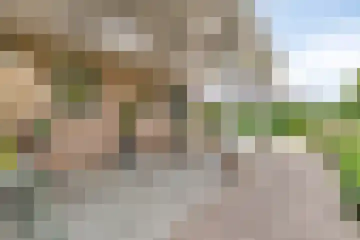 Erf van Odin 1 Heerhugowaard thumbnail 78