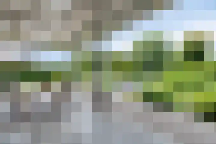 Erf van Odin 1 Heerhugowaard thumbnail 81