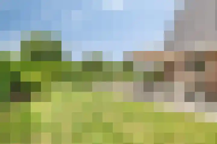 Erf van Odin 1 Heerhugowaard thumbnail 83