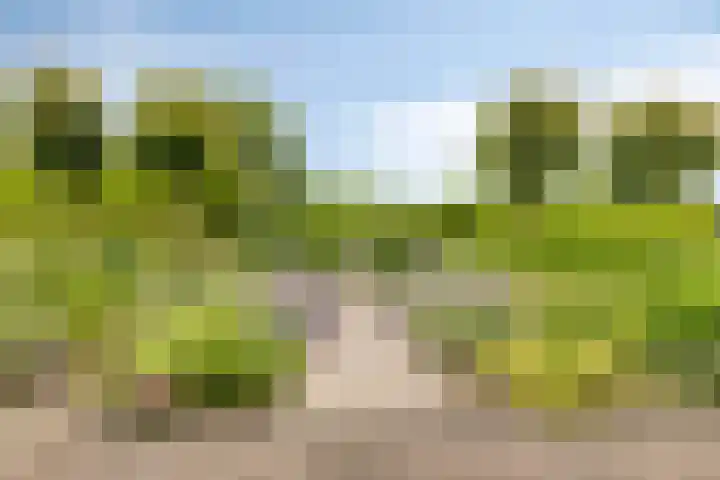Erf van Odin 1 Heerhugowaard thumbnail 85