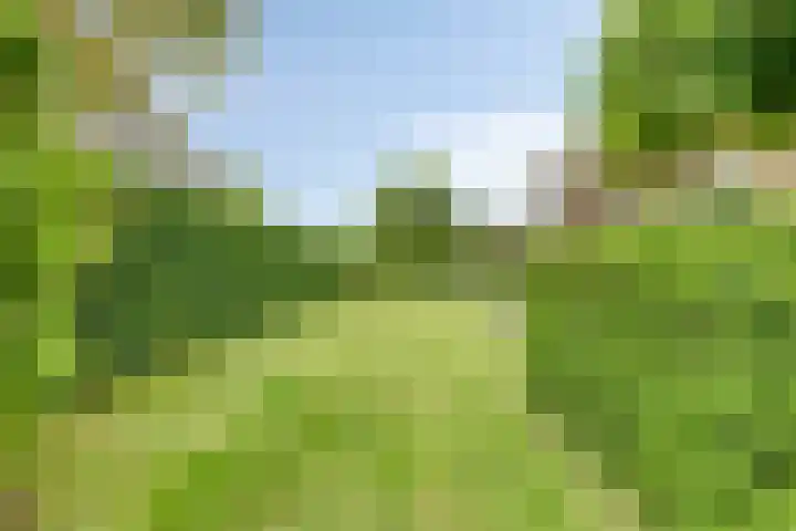 Erf van Odin 1 Heerhugowaard thumbnail 87