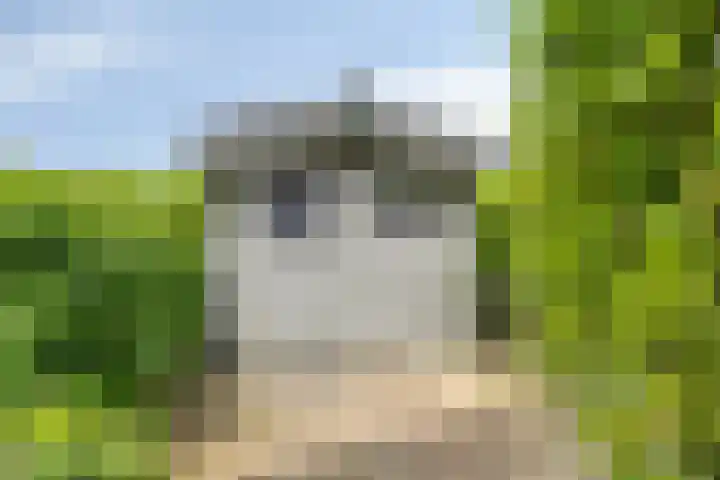 Erf van Odin 1 Heerhugowaard thumbnail 91