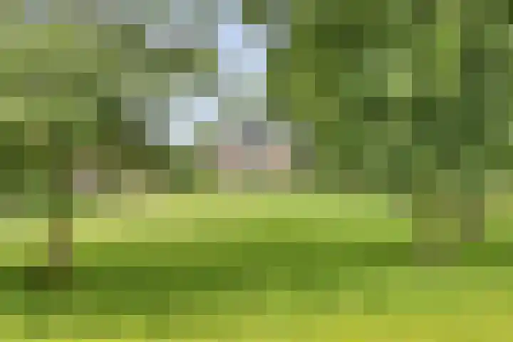 Erf van Odin 1 Heerhugowaard thumbnail 92