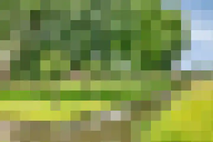 Erf van Odin 1 Heerhugowaard thumbnail 93