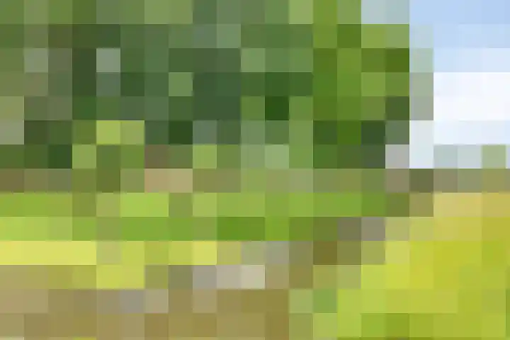 Erf van Odin 1 Heerhugowaard thumbnail 94