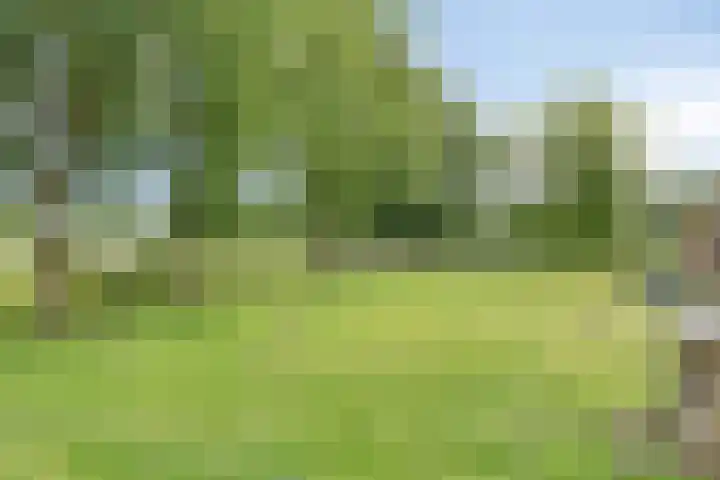 Erf van Odin 1 Heerhugowaard thumbnail 95