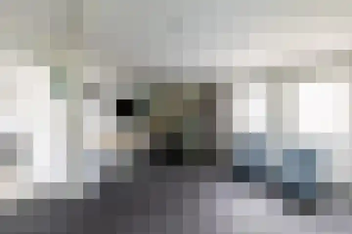 Erfbosch 19 Haaren thumbnail 13