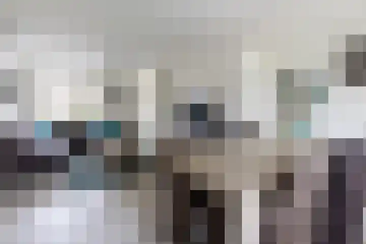 Erfbosch 19 Haaren thumbnail 4