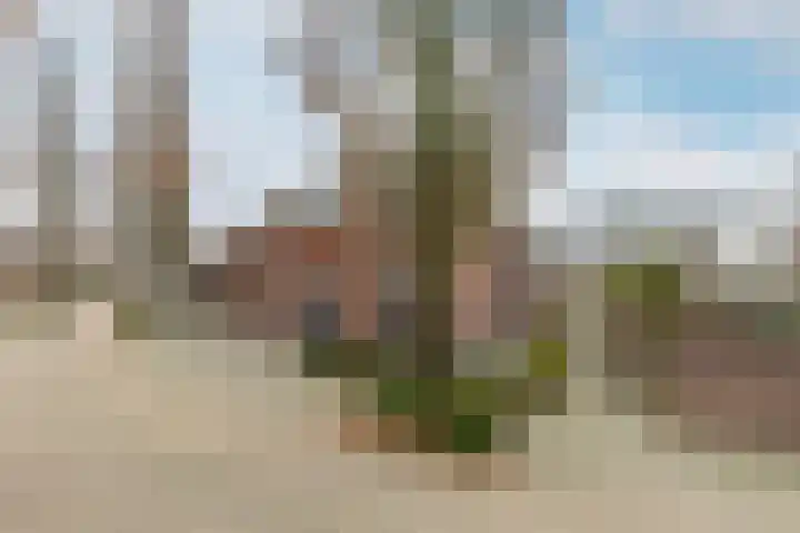 Erfbosch 19 Haaren thumbnail 41