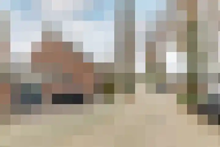 Erfbosch 19 Haaren thumbnail 43