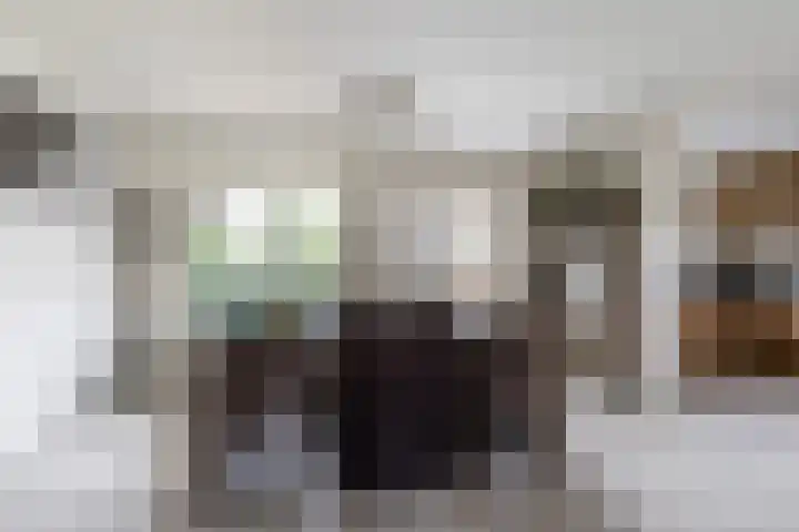 Erfbosch 19 Haaren thumbnail 6