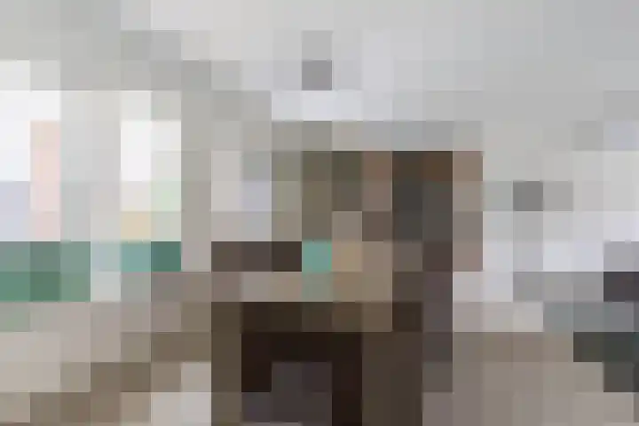 Erfbosch 19 Haaren thumbnail 7