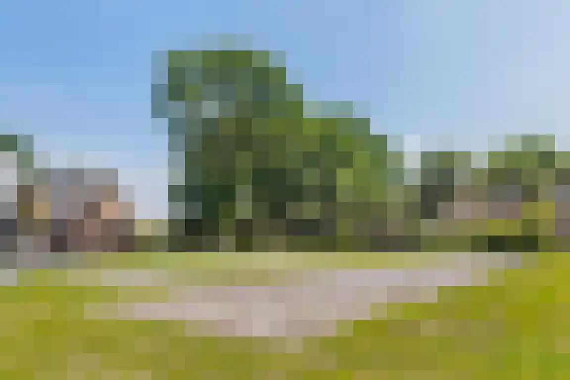 Erfgenamenweg 24 Zwolle thumbnail 17