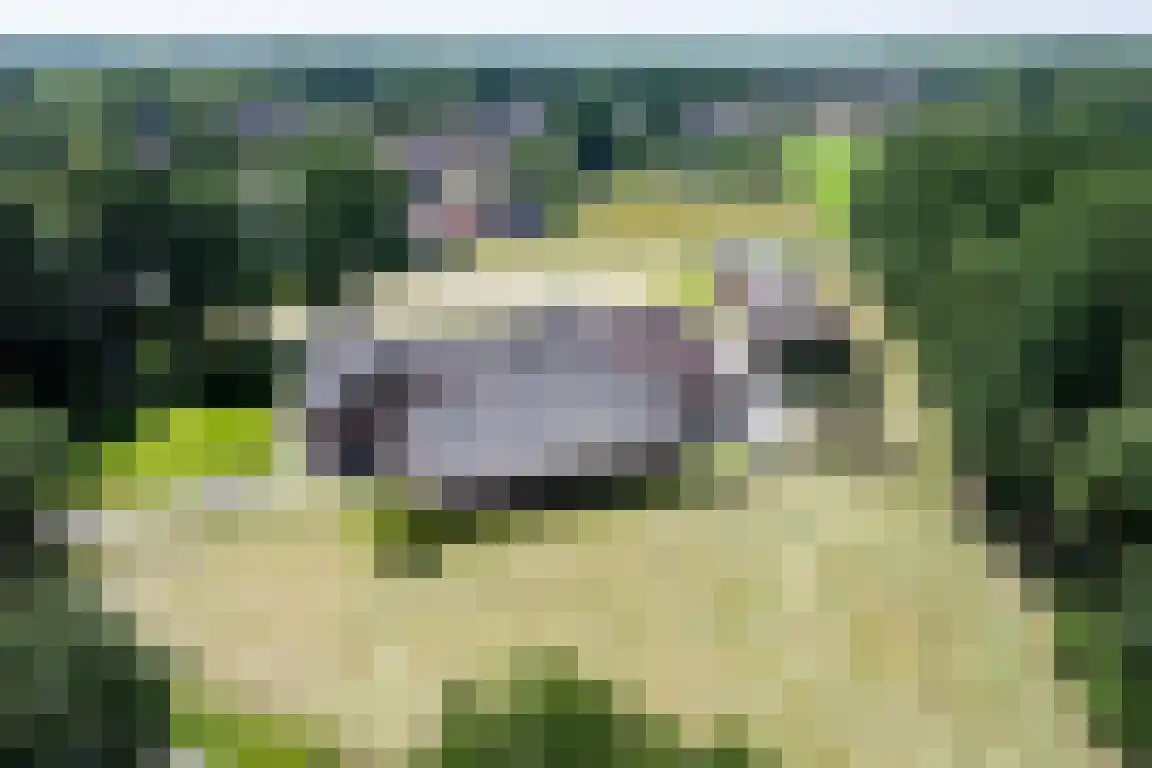 Erfgenamenweg 24 Zwolle thumbnail 21