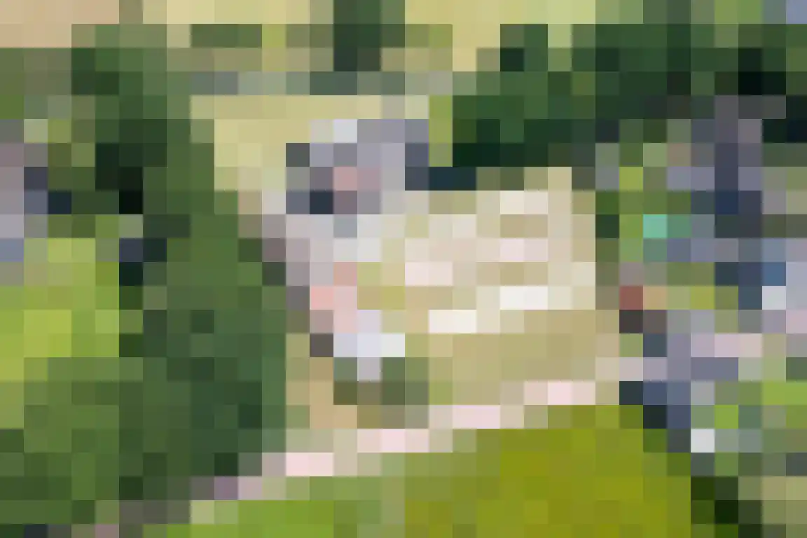 Erfgenamenweg 24 Zwolle thumbnail 22
