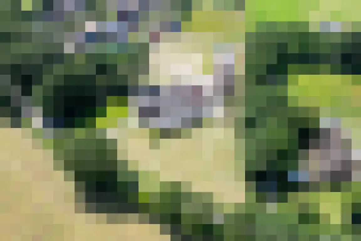 Erfgenamenweg 24 Zwolle thumbnail 23