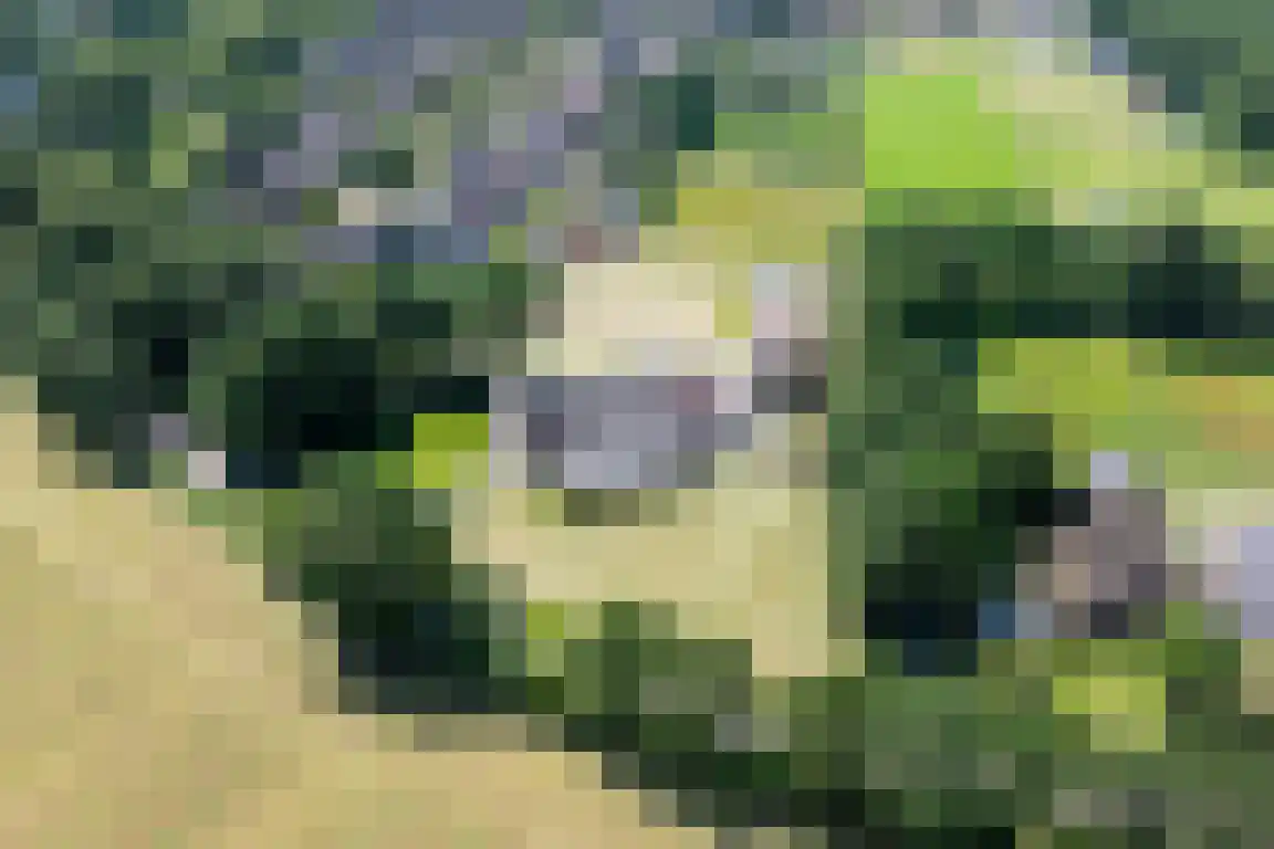 Erfgenamenweg 24 Zwolle thumbnail 24