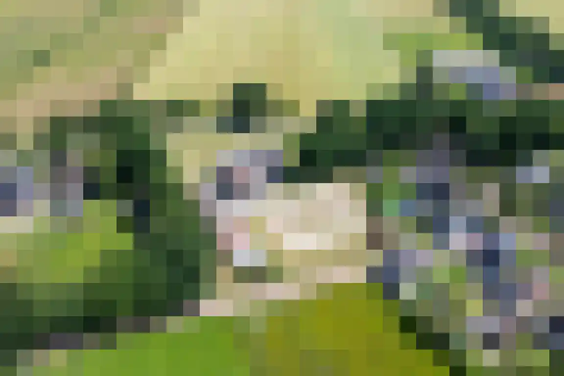 Erfgenamenweg 24 Zwolle thumbnail 25