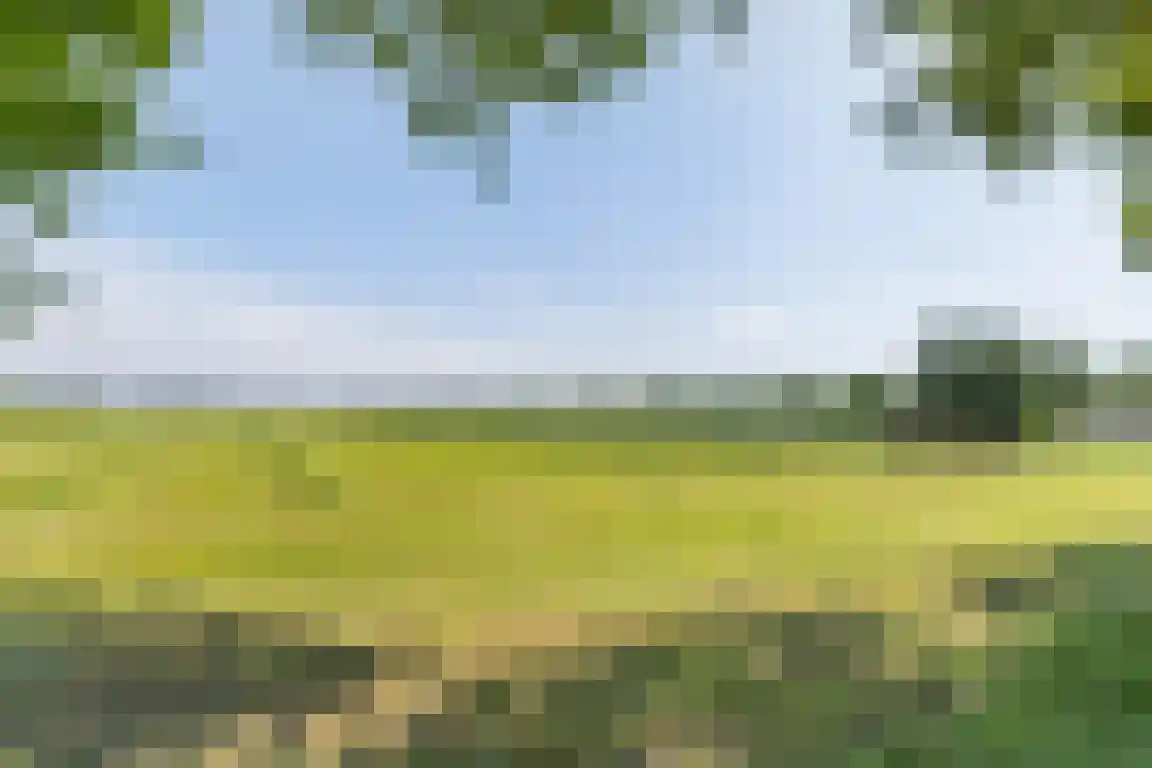 Erfgenamenweg 24 Zwolle thumbnail 26
