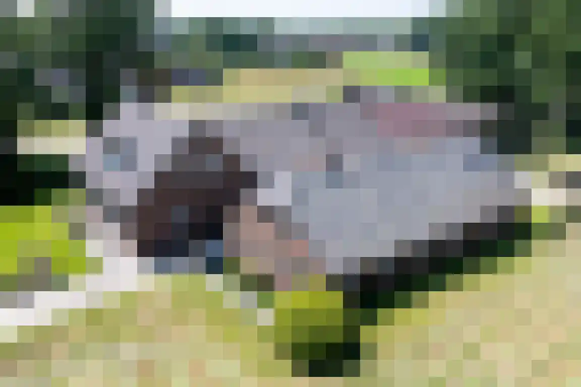 Erfgenamenweg 24 Zwolle thumbnail 6