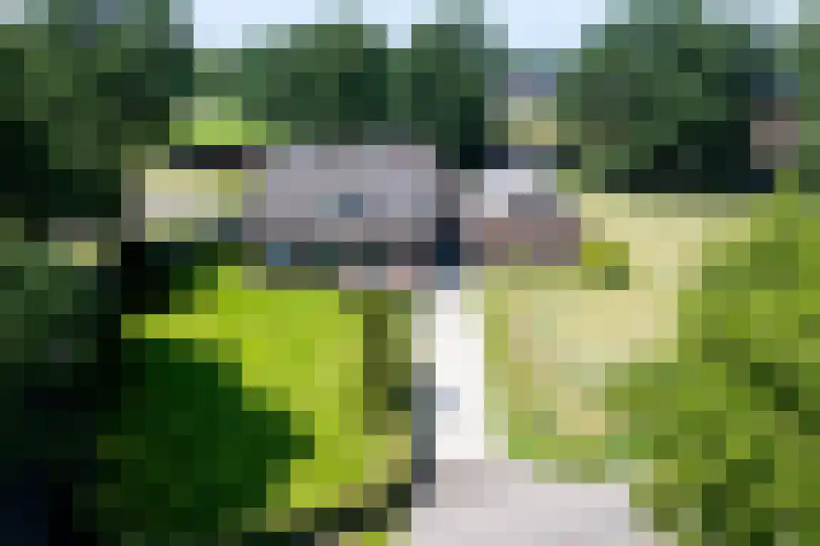 Erfgenamenweg 24 Zwolle thumbnail 7