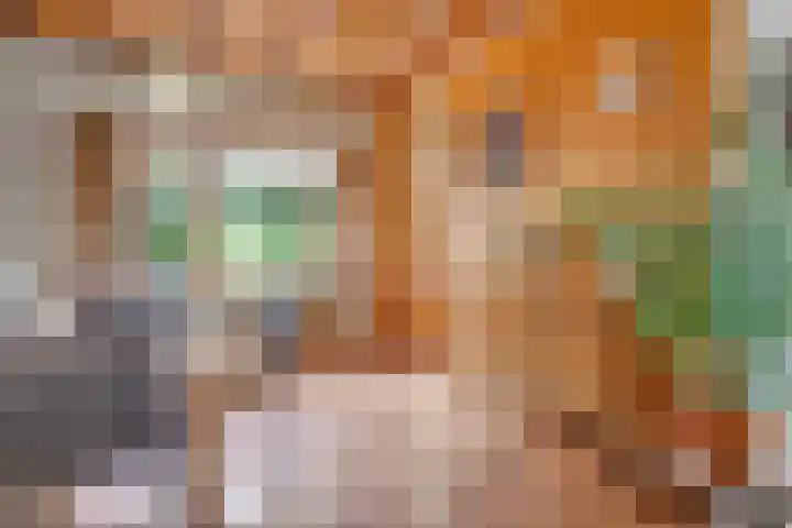 Erfgenamenweg 52 Zwolle thumbnail 14
